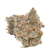 SCOUT & SEED - GRAPE GAS 3.5 GRAMS
