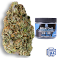 Gelato 41 Flower | Eighth Special