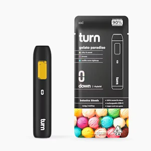 turn - DISPOSABLE - GELATO PARADISO 1G - TURN
