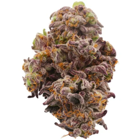 Turntables - GELATO 23 - TURNTABLES SUPREME SHELF FLOWER 2G Main Image