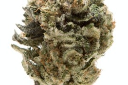 305 Farms | Georgia Pie | 3.5g