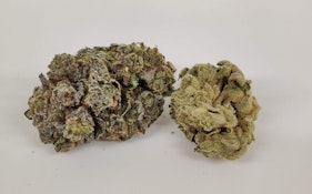 (D) Kapnos | GG#4 (H) - Flower