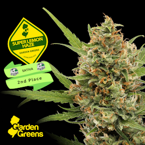 GARDEN GREENS - [REC] Garden Greens | Super Lemon Haze | 3.5g Flower