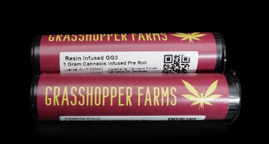 Resin Infused GG3 1G Pre Roll