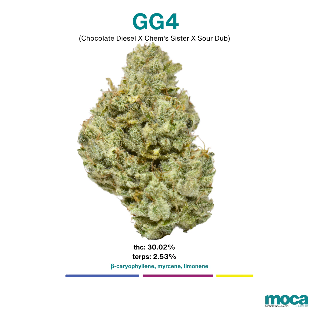 MOCA Flowers - MOCA Flowers - 1/8th Jar - GG4 Main Image