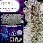 HLH Tier 1 Bud 3.5 Gram GG#4