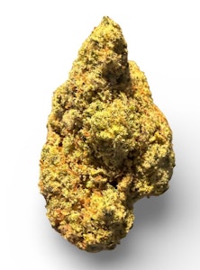 HOUSE - GORILLA GLUE #4