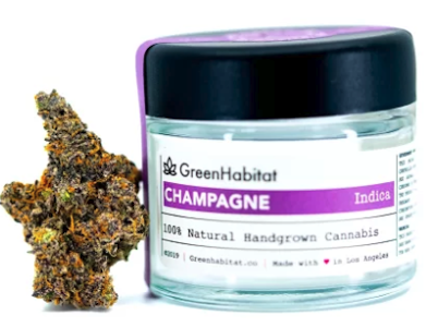 HABITAT - Green habitat - Champagne - (I) 14g