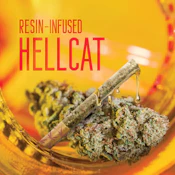 Hell Cat | Resin | Sungrown | 1g