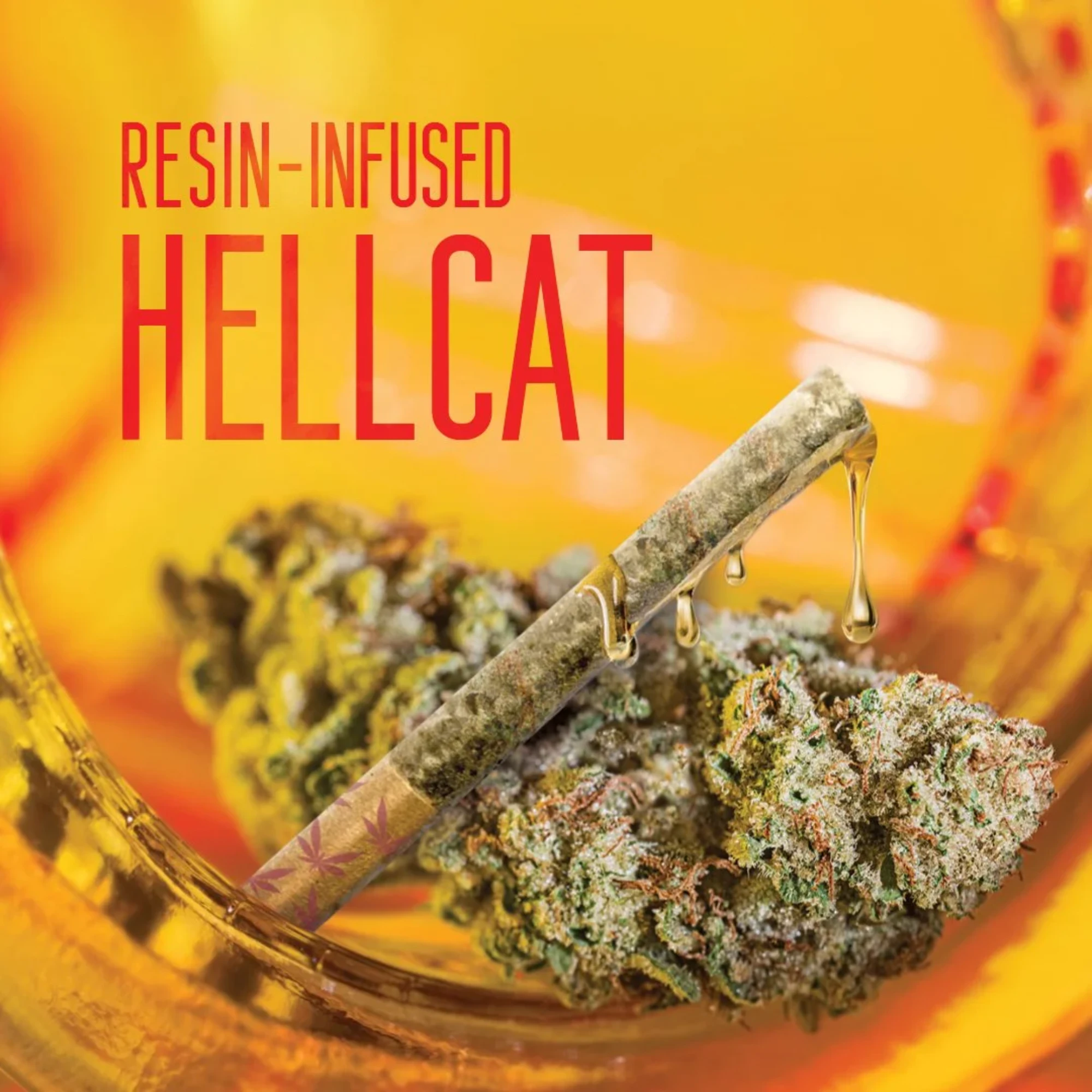 Grasshopper Farms - Hell Cat | Resin | Sungrown | 1g Main Image