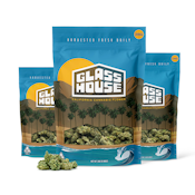 GHF | GARLIC STARSHIP | FLOWER | 28G