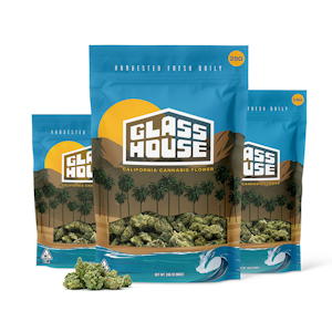 GLASS HOUSE FARMS - GHF | GARLIC STARSHIP | FLOWER | 28G