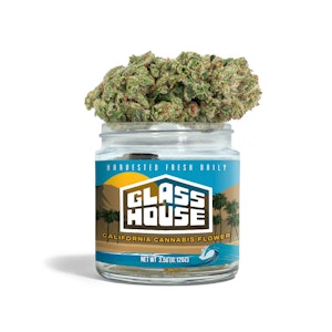 Glass House - Next Day - Heir Heads - Jarred (Eighth)