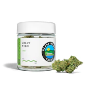 Glass House Farms - Jelly Fish CBD - Flower - 3.5g