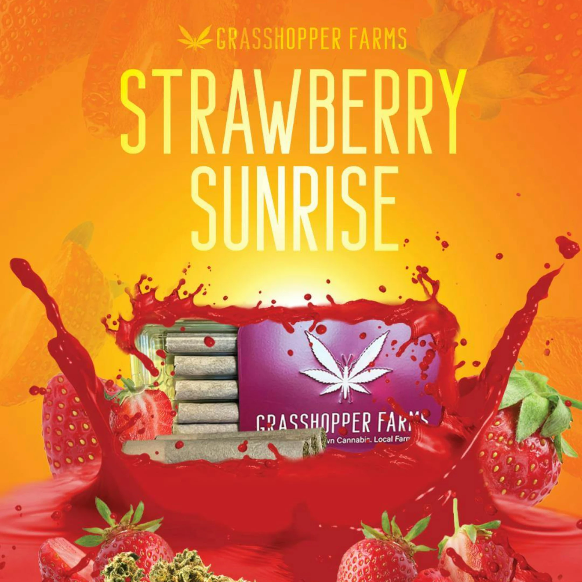 Grasshopper Farms - Strawberry Sunrise | Sungrown | 1g x 5pk Main Image