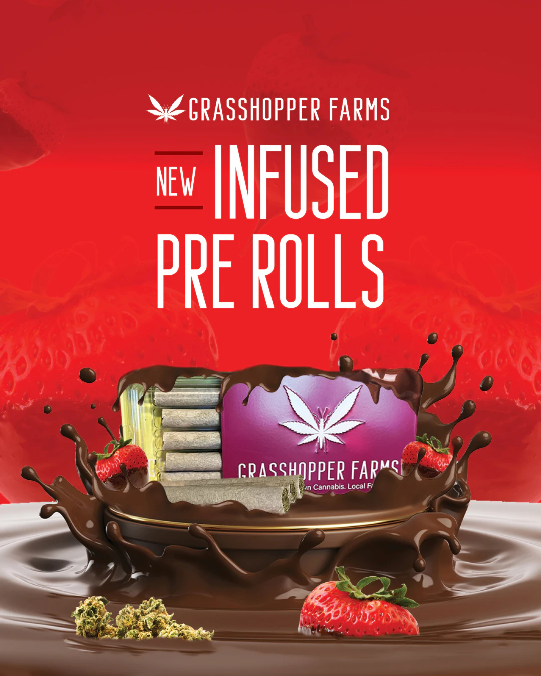 Grasshopper Farms - Chocolate Covered Strawberry (Infused Pre-Roll) Main Image