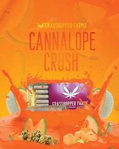 Cannalope Crush (Infused Pre Roll)