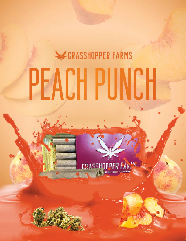 Grasshopper Farms - Peach Punch (5 x 1G Pre Roll) Main Image