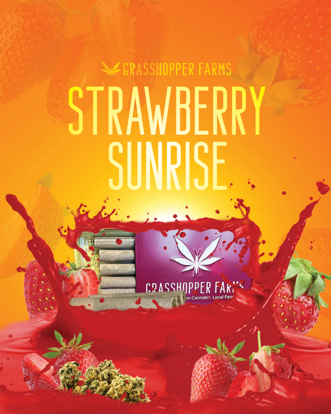 Grasshopper Farms - Strawberry Sunrise (Infused Pre Roll) Main Image