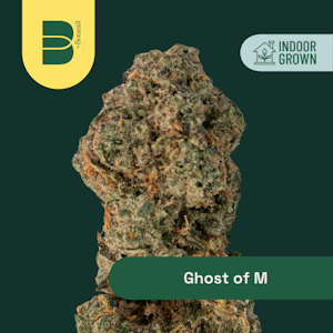 Botanist - The Botanist | Ghost of M | 14G indica