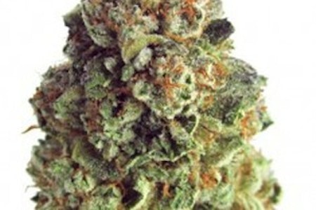 DRJC Holdings - DRJC | Goofiez