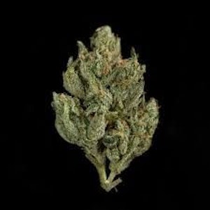 FLO - GHOST TRAIN HAZE 1/4oz