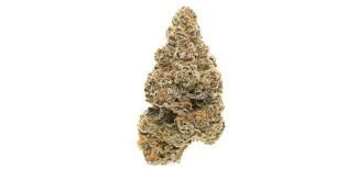 Flo - GIRL SCOUT COOKIES 1/4oz Main Image