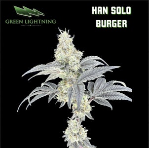 Green Lightning - Flower | Green Lightning | Hans Solo Burger | 7g Smalls
