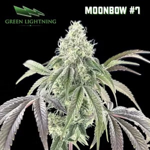 Green Lightning - Flower | Green Lightning | Moonbow #7 | 28g Mixed Buds