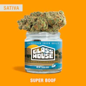 GHF | SUPER BOOF | FLOWER | 3.5G