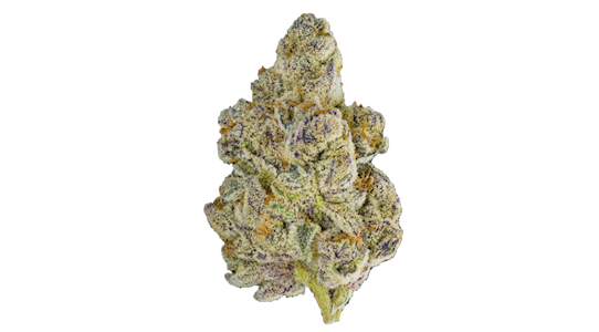 Maven - Honey Lemon Hibiscus - 3.5g (SH) - Maven