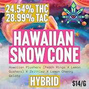 Emerald Visions | Hawaiian Snow Cone