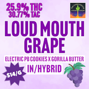 The Flying Cactus | Loud Mouth Grape