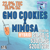 *SHAKE* Wicked WIndy | GMO x Mimosa