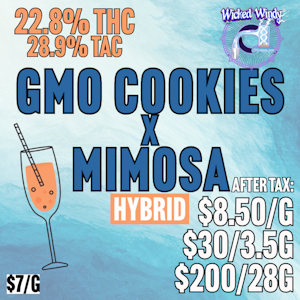 Wicked Windy Farms - Wicked WIndy | GMO x Mimosa