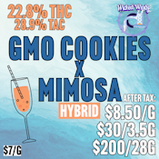 Wicked Windy | GMO x Mimosa