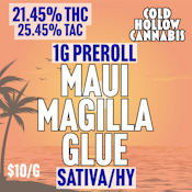 Cold Hollow Cannabis | Preroll Maui Magilla Glue | 1G