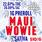 Cold Hollow Cannabis | Preroll Maui Wowie | 1G