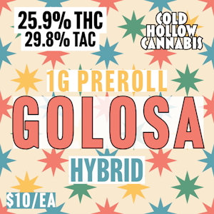 Cold Hollow Cannabis - Cold Hollow Cannabis | Golosa | 1G