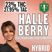 Forbin's Finest | Halle Berry