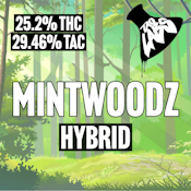 Tao Labs | Mintwoodz