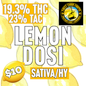 First Chair Farms | Lemon Dosi | .9G