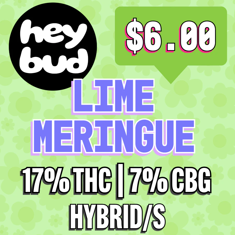 HeyBud - Hey Bud | Lime Meringue | .5G Main Image
