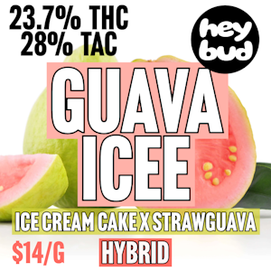 HeyBud - Hey Bud | Guava Icee