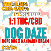 Bern Legacy | Dog Daze |  1:1 THC/CBD | 1G