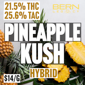 Bern Legacy | Pineapple Kush