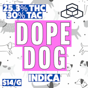 Bern Legacy | Dope Dog