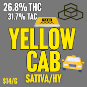 Bern Legacy | Yellow Cab