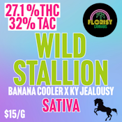 Florist | Wild Stallion