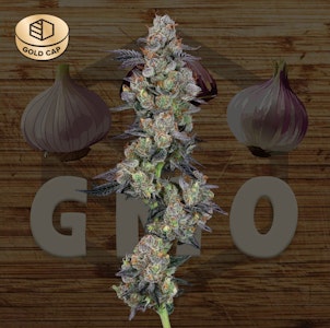 COMMCAN, INC. - GMO Flower - 3.5g - CMC